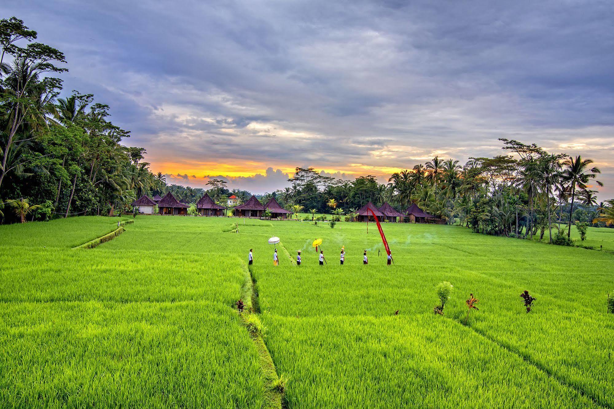 Pajar House Ubud Suite & Villas Extérieur photo